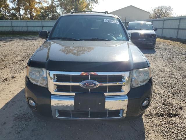 2010 Ford Escape Limited