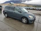 2006 Honda Odyssey EXL