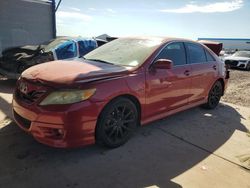 Salvage cars for sale at Phoenix, AZ auction: 2010 Toyota Camry Base