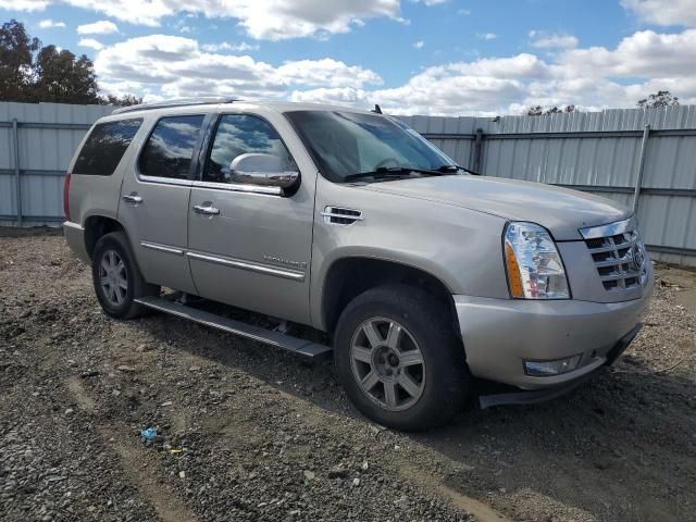 2007 Cadillac Escalade Luxury