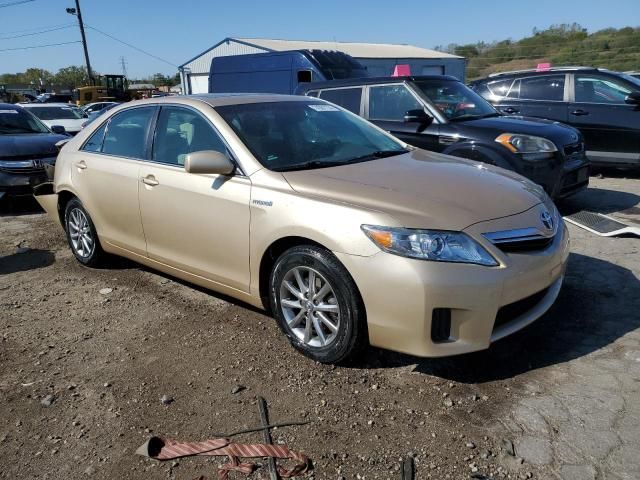 2010 Toyota Camry Hybrid