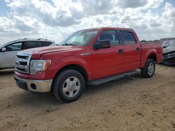 Salvage cars for sale at San Antonio, TX auction: 2014 Ford F150 Supercrew