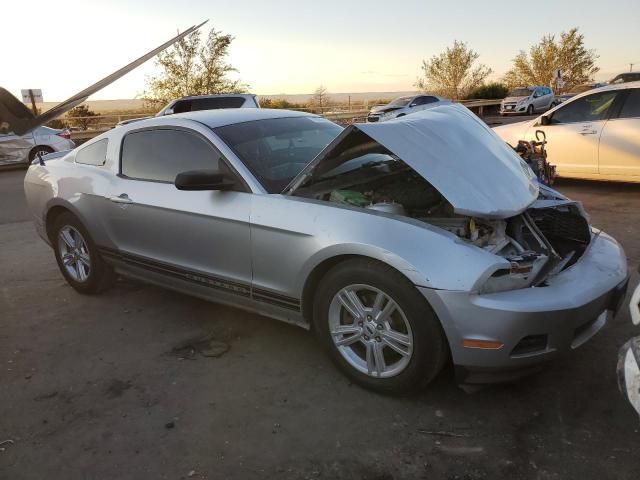 2011 Ford Mustang