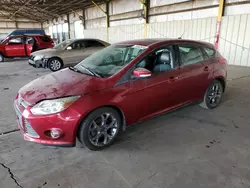 Ford Focus salvage cars for sale: 2014 Ford Focus SE