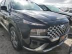 2023 Hyundai Santa FE SEL Premium