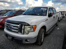 Flood-damaged cars for sale at auction: 2012 Ford F150 Supercrew