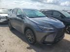 2024 Lexus NX 250 Premium