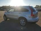 2010 Honda CR-V EXL