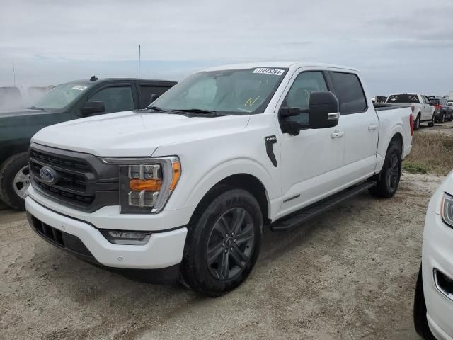 2023 Ford F150 Supercrew