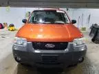 2006 Ford Escape XLT