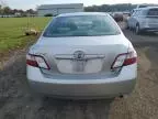 2009 Toyota Camry Hybrid