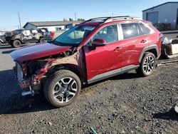 Toyota salvage cars for sale: 2019 Toyota Rav4 Adventure