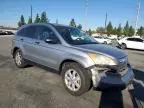 2007 Honda CR-V EX