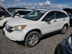 Salvage cars for sale at Riverview, FL auction: 2010 Honda CR-V EX