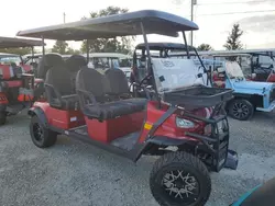 Salvage trucks for sale at Arcadia, FL auction: 2024 Kand Electric