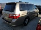 2005 Honda Odyssey EXL