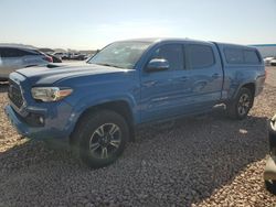 Salvage cars for sale at Phoenix, AZ auction: 2019 Toyota Tacoma Double Cab