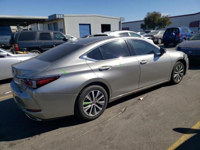 2019 Lexus ES 350