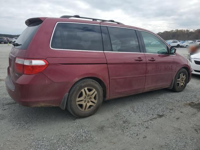 2005 Honda Odyssey EXL