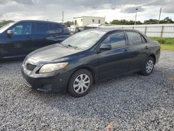 Toyota salvage cars for sale: 2010 Toyota Corolla Base