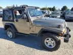 2004 Jeep Wrangler / TJ Sport