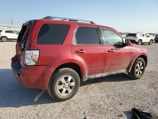 2011 Ford Escape Limited