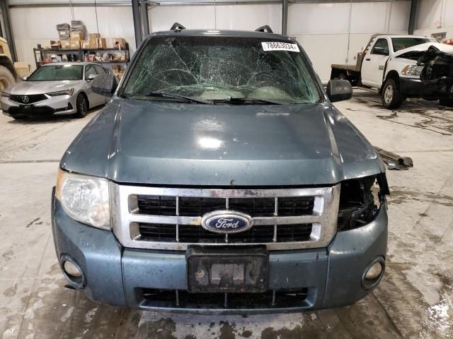 2011 Ford Escape XLT