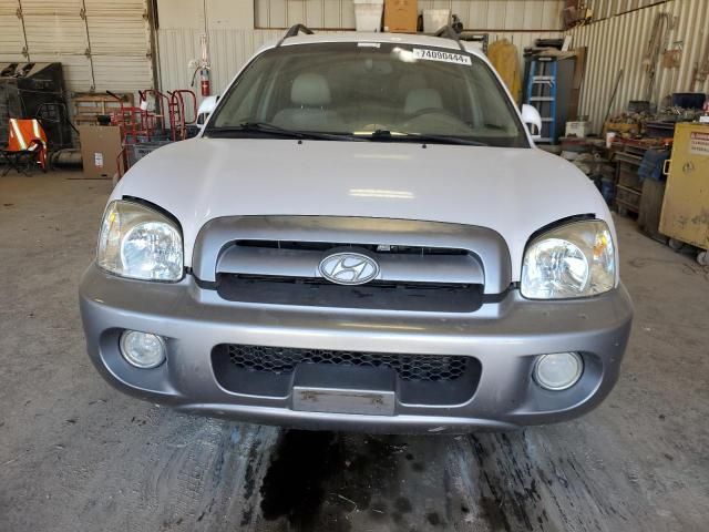 2006 Hyundai Santa FE GLS