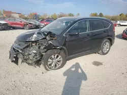 Salvage cars for sale at Columbus, OH auction: 2012 Honda CR-V EXL