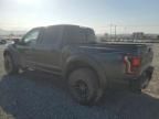 2019 Ford F150 Raptor