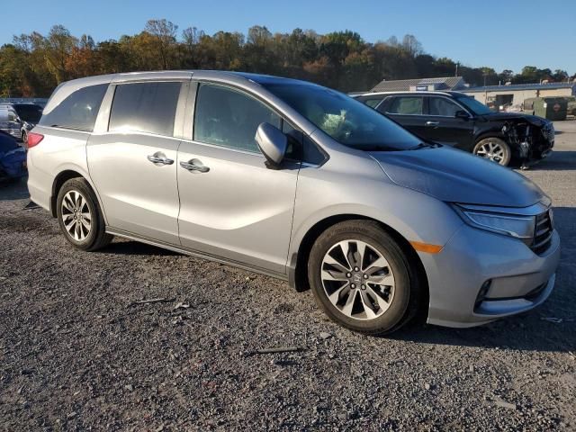 2024 Honda Odyssey EXL