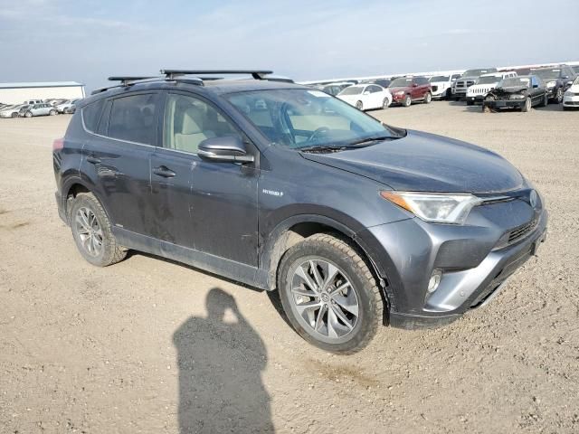 2016 Toyota Rav4 HV XLE