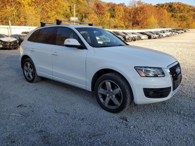 2010 Audi Q5 Premium Plus