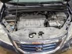 2009 Honda Odyssey EXL