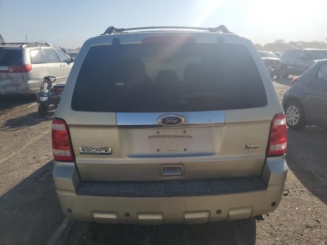 2010 Ford Escape Limited