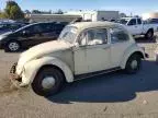 1969 Volkswagen Beetle