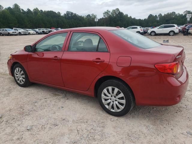 2010 Toyota Corolla Base