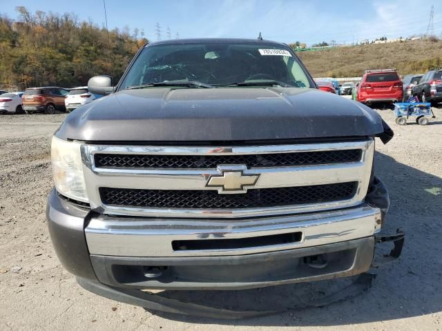 2010 Chevrolet Silverado K1500 LS