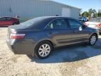 2009 Toyota Camry Hybrid