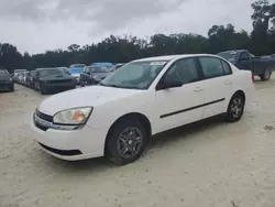 Chevrolet salvage cars for sale: 2005 Chevrolet Malibu