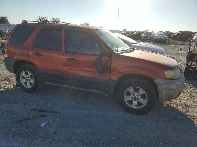 2006 Ford Escape XLT