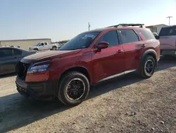 Salvage SUVs for sale at auction: 2024 Nissan Pathfinder Rock Creek