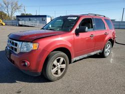 Ford Vehiculos salvage en venta: 2012 Ford Escape XLT