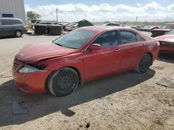 Salvage cars for sale at Tucson, AZ auction: 2010 Toyota Camry Base