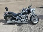 2002 Harley-Davidson Flstfi