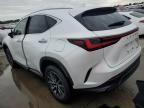 2023 Lexus NX 250