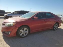 Salvage cars for sale at Andrews, TX auction: 2013 Toyota Camry L