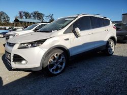 Ford Escape salvage cars for sale: 2014 Ford Escape Titanium