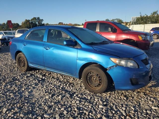 2010 Toyota Corolla Base