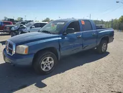 Salvage cars for sale at Indianapolis, IN auction: 2006 Dodge Dakota Quad SLT